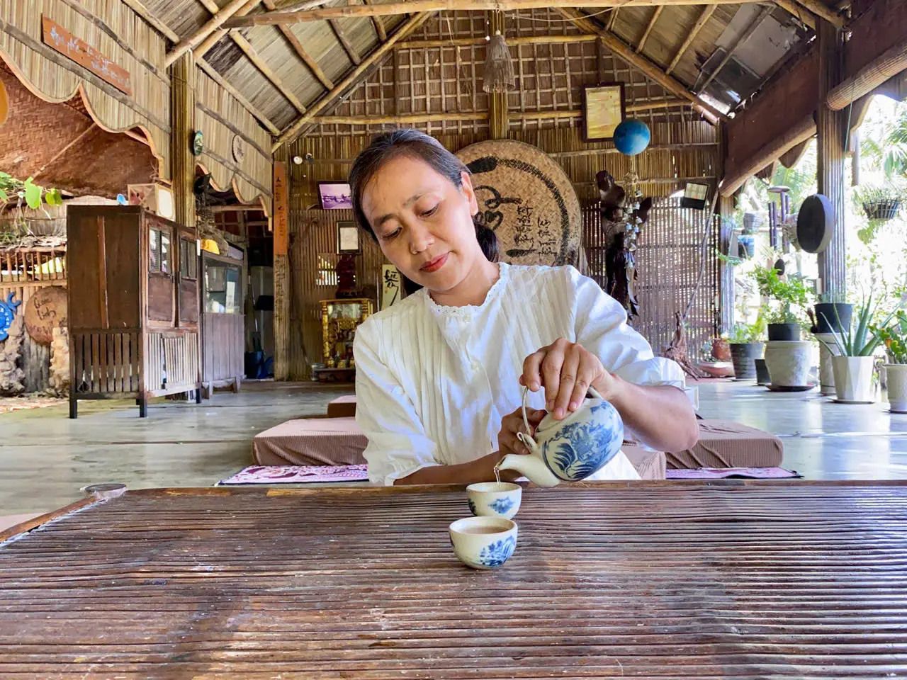 TRÀ THIỀN ảnh 2
