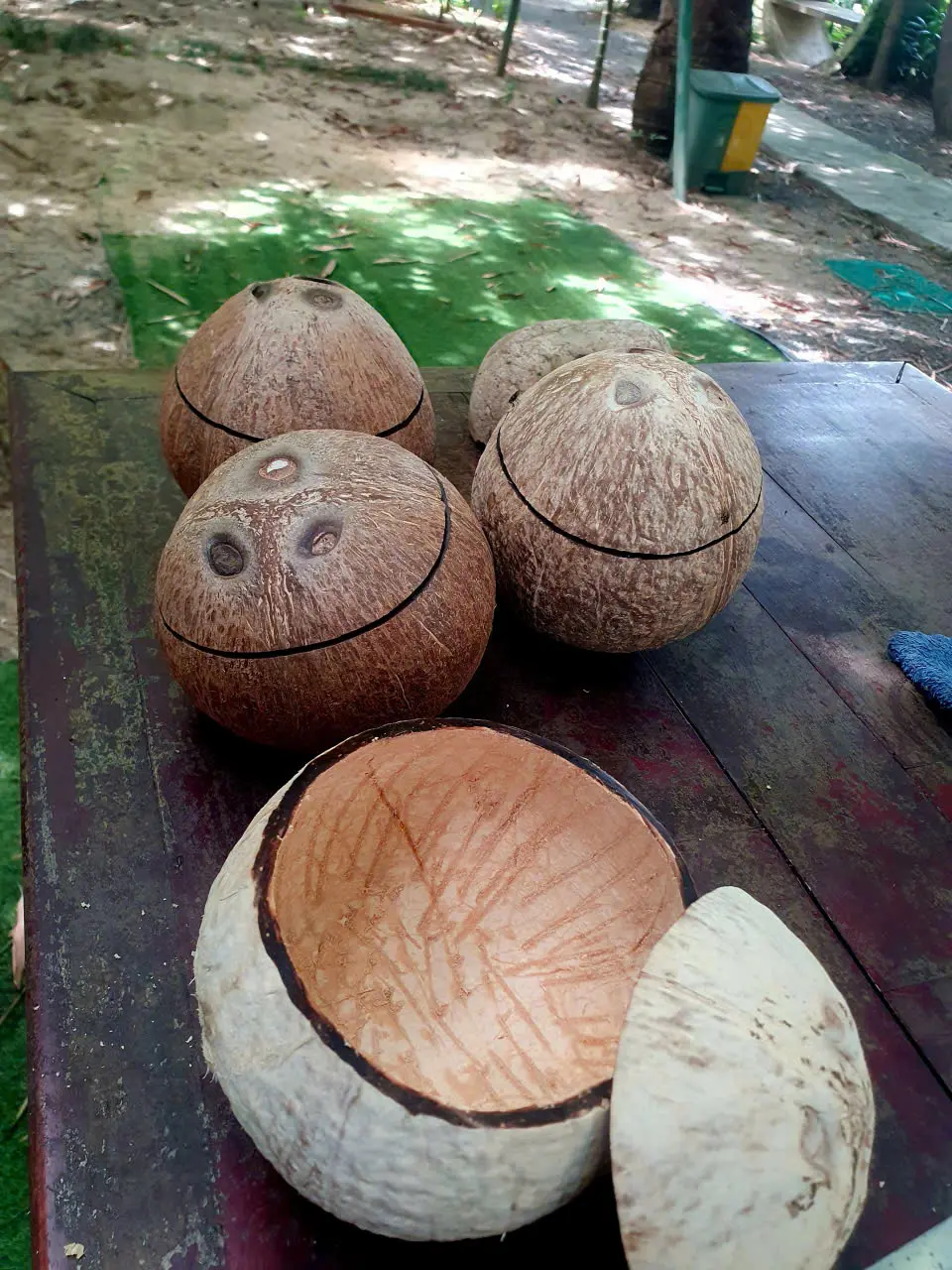 PEACEFUL NATURE COCONUT WORKSHOP photo 2