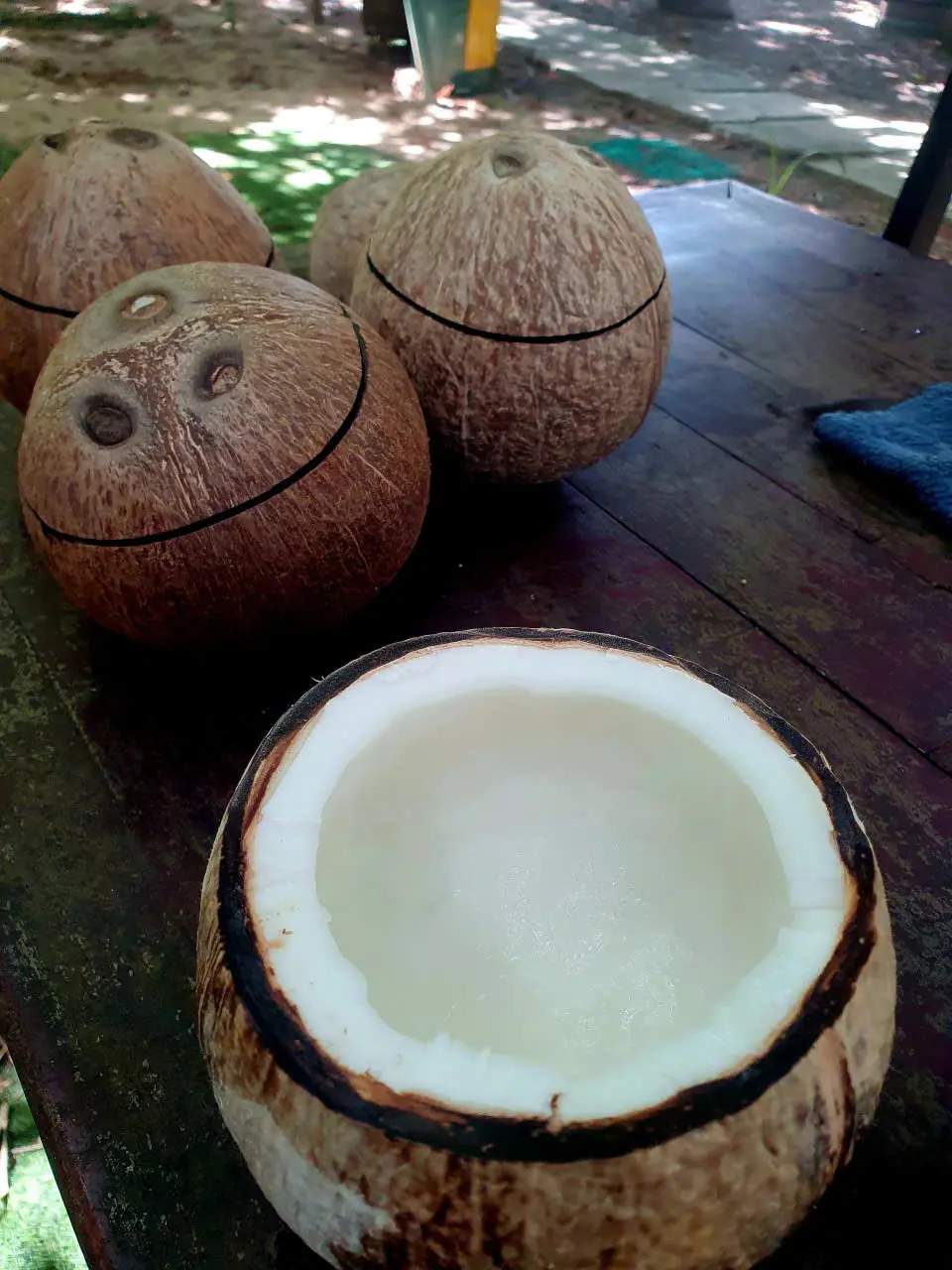 PEACEFUL NATURE COCONUT WORKSHOP photo 3
